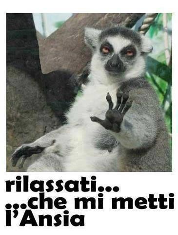 NUN ME STRESSA' !! - 26/11/2012