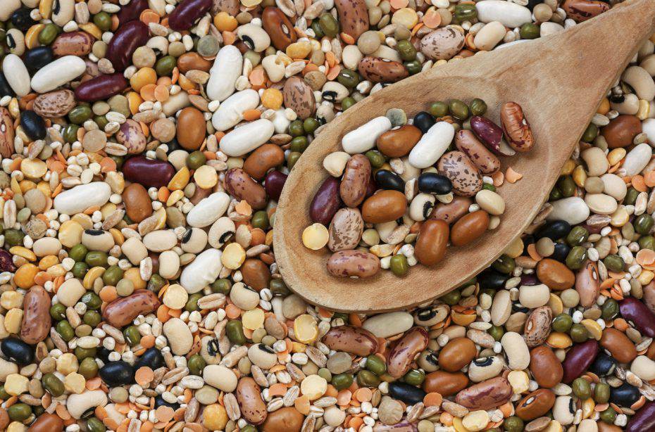 DIETA DEI LEGUMI: BRUCI IL GRASSO ADDOMINALE IN SOLI 7 GIORNI - 02/10/2016