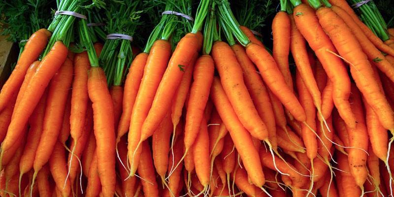 DIETA DELLE CAROTE: MENO 3 CHILI IN 7 GIORNI - 02/11/2016