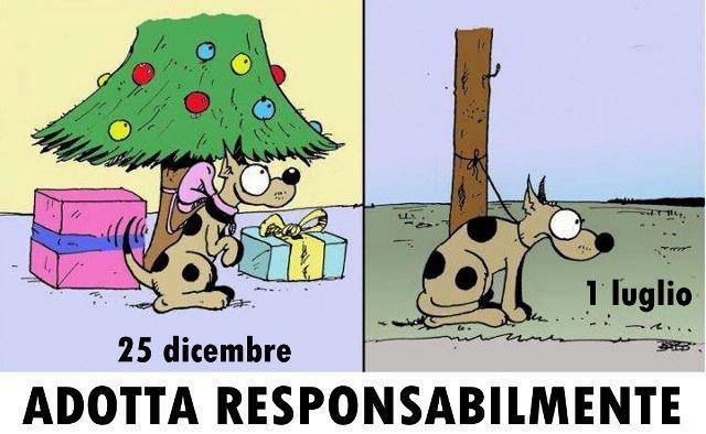 TE REGALANO AMORE !! - 30/11/2012