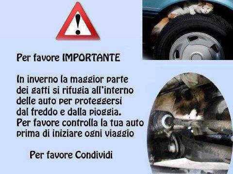 E' 'NA COSA IMPORTANTE !! - 10/12/2012