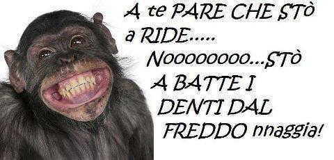 ME STO A GELA' !! - 10/12/2012