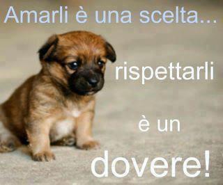 NUN SO SI ME SPIEGO !! - 11/12/2012