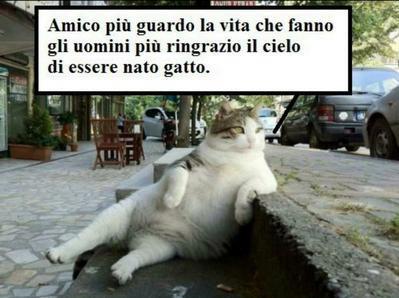 ME RITENGO FORTUNATO !! - 11/12/2012