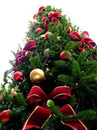 CONCORSO PER L'ALBERO DI NATALE PIU' BELLO !! - 12/12/2012