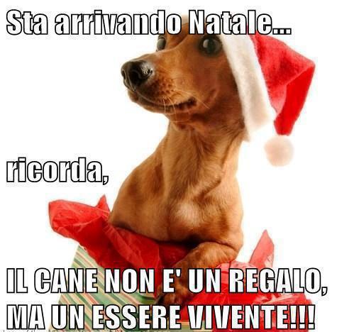 NUN TE LO SCORDA' !! - 24/12/2012