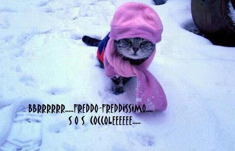 CHI ME SCALDA ?! - 24/12/2012