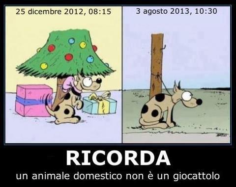 PENSACE BENE !! - 24/12/2012