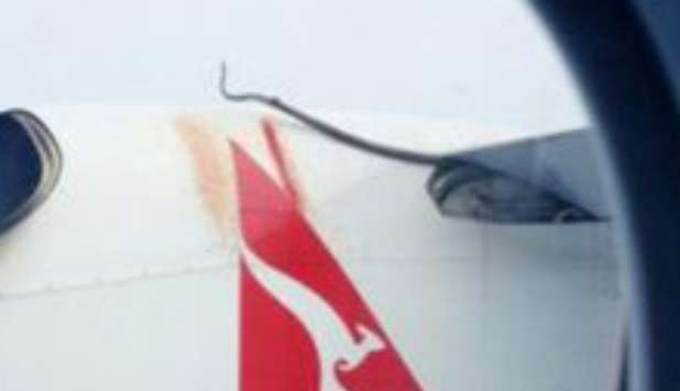 PITONE DI 3 METRI SUL VOLO QANTAS. IL VIDEO DEL PASSEGGERO - GUARDA - 10/01/2013