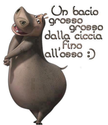 Immagine Divertente - 16/01/2013