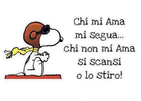 Immagine Divertente - 16/01/2013