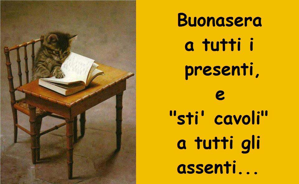 Immagine Divertente - 16/01/2013