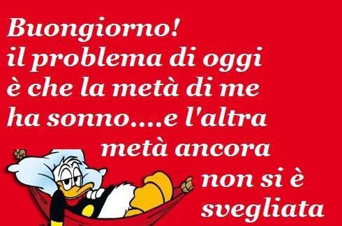 Immagine Divertente - 21/04/2013