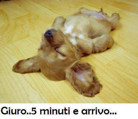 Immagine Divertente - 29/06/2013