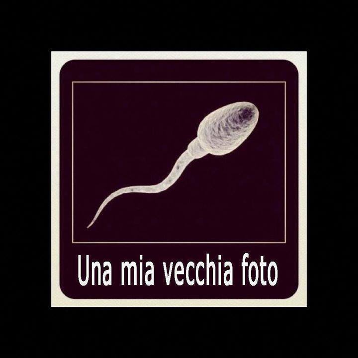 Immagine Divertente - 30/06/2013