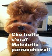 Immagine Divertente - 30/06/2013