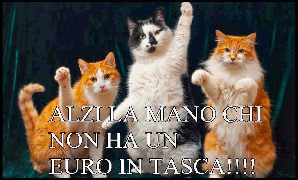 Immagine Divertente - 02/07/2013