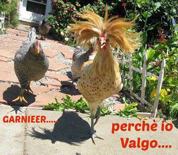 Immagine Divertente - 05/07/2013