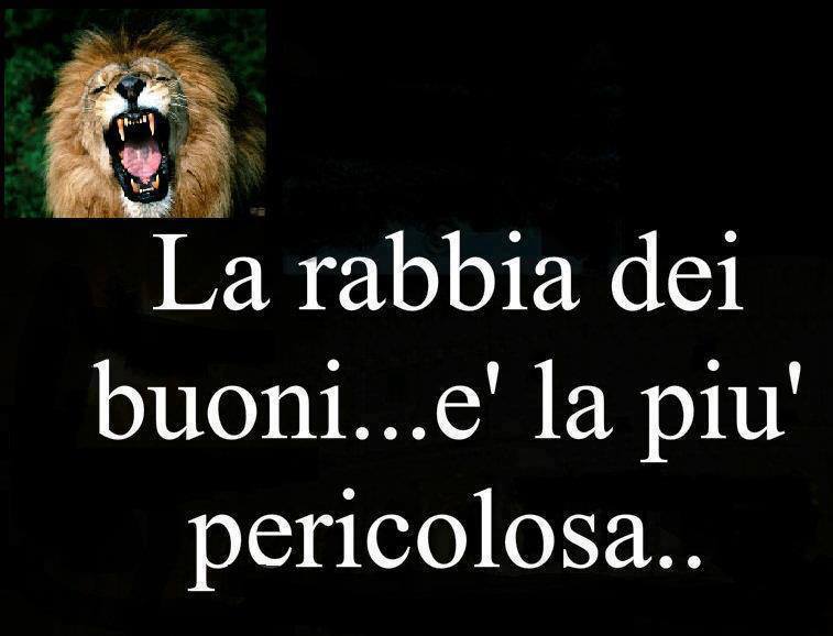 Immagine Divertente - 22/07/2013