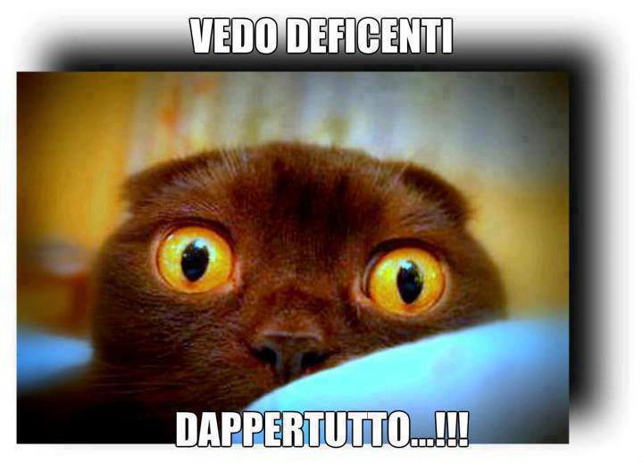 Immagine Divertente - 29/07/2013