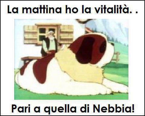 Immagine Divertente - 29/07/2013