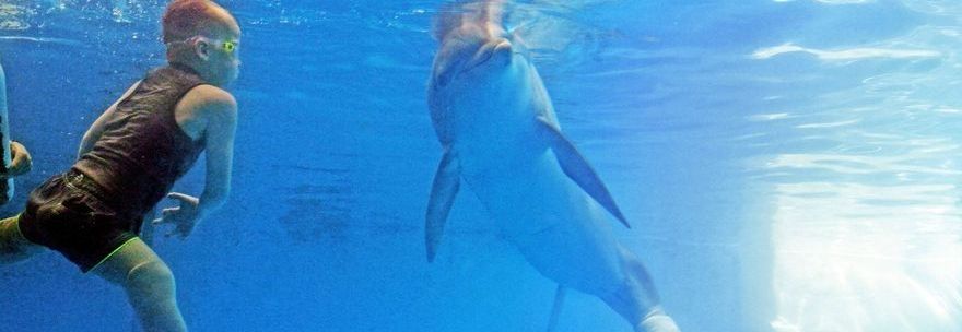 BAMBINO DI 8 ANNI, NUOTA INSIEME AL DELFINO: ''ENTRAMBI IN ACQUA CON LE PROTESI'' - VIDEO - 04/09/2013