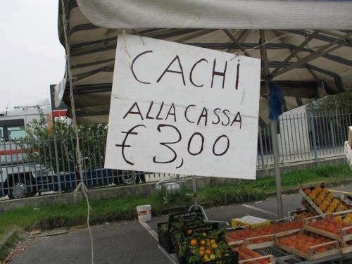 Immagine Divertente - 05/11/2012
