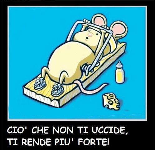 Immagine Divertente - 08/11/2012