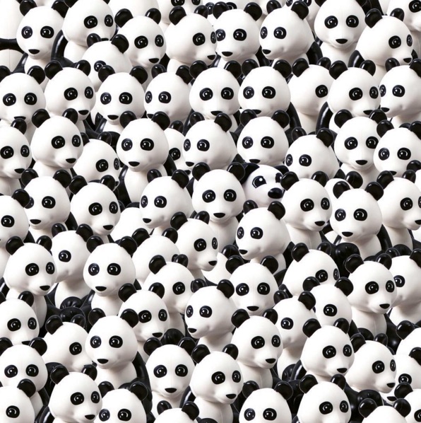 UN CANE SI NASCONDE TRA I PANDA: RIESCI A TROVARLO? - 06/02/2016