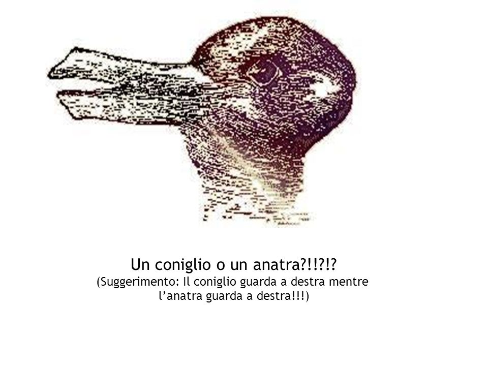 ANATRA O CONIGLIO? QUELLO CHE VEDI NEL DISEGNO PUO' DIRTI QUALCOSA SULLA TUA PERSONALITA' - GUARDA - 14/02/2016