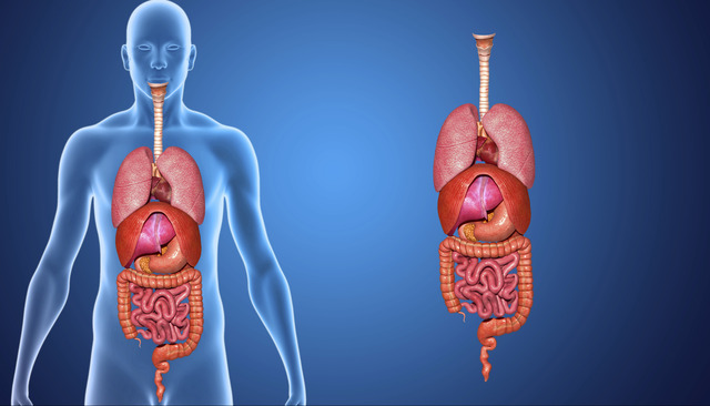 12 RIMEDI NATURALI CONTRO IL REFLUSSO GASTROESOFAGEO - 05/03/2016