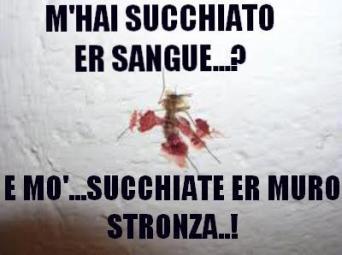 Immagine Divertente - 25/07/2012