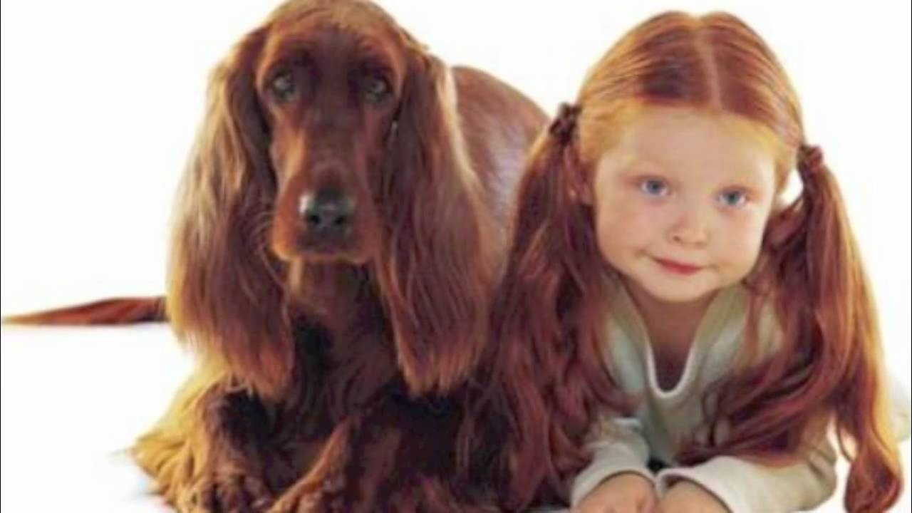 SI DICE CHE I CANI SOMIGLINO AI PADRONI, ECCO 18 FOTO CHE LO PROVANO - 10/02/2016