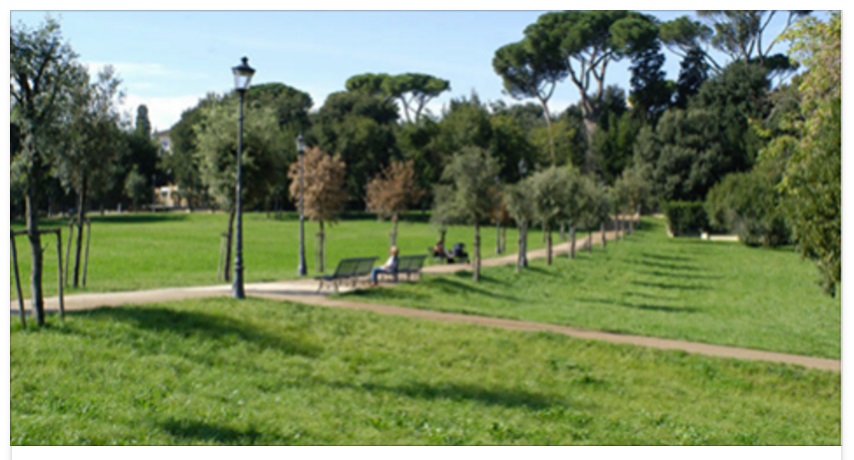 ROMA - 'C'E' UN GROSSO RETTILE NEL PARCO GIOCHI DEI BAMBINI''. POI LA SCOPERTA DEGLI AGENTI - 27/11/2016