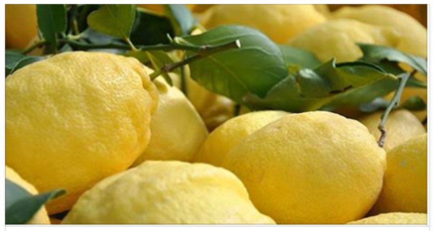 LA DIETA DEL LIMONE: PERDI PESO E DEPURI IL CORPO IN TRE GIORNI - 27/11/2016