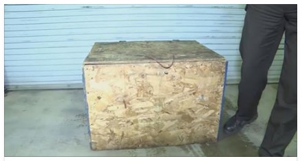 COSTRINGEVANO FIGLIA DI 3 ANNI A VIVERE NELLA SCATOLA, ECCO COSA C'ERA DENTRO - 24/12/2016