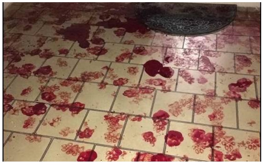 ENTRA IN CASA PER RUBARE, MA TROVA UN PASTORE TEDESCO: SUCCEDE IL DISASTRO - FOTO - 03/01/2017
