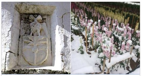 MALTEMPO NEL SALENTO: LA PROFEZIA SHOCK -ECCO COSA ACCADE SE NEVICA PER DUE GIORNI - 08/01/2017
