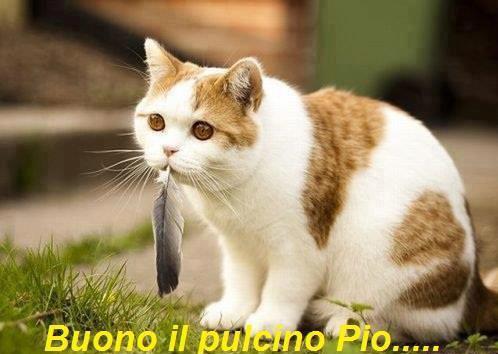 GLI HO FATTO FA 'NA FINACCIA !! - 04/10/2012
