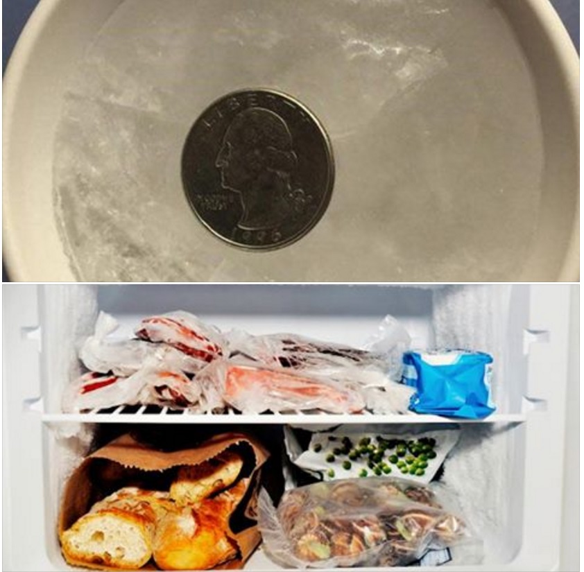 METTETE UNA MONETINA IN FREEZER PRIMA DI USCIRE DA CASA: ECCO LA SUA UTILITA' E NON NE FARETE PIU' A MENO - 11/01/2017