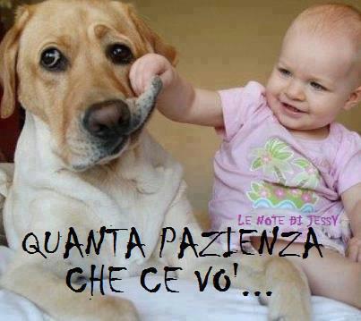 QUESTO SE CHIAMA AMORE !! - 04/10/2012