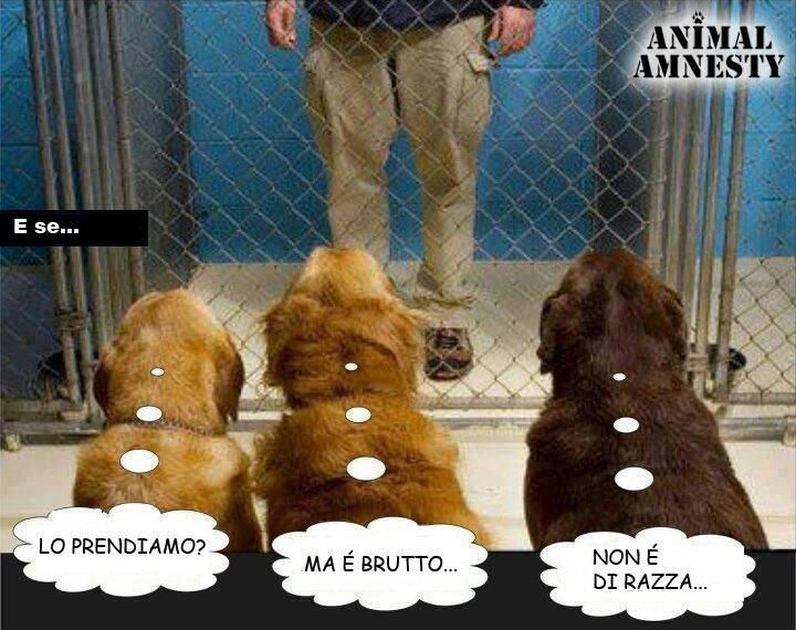 COME 'A METTEMO ?! - 10/10/2012