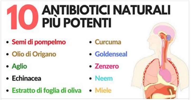 I 10 ANTIBIOTICI NATURALI PIU' POTENTI CONOSCIUTI FIN'ORA: ECCO PERCHE' E A COSA SERVONO - RESTERETE MOLTO SORPRESI - 09/04/2017