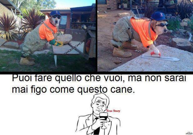 'NO SPETTACOLO !! - 27/10/2012