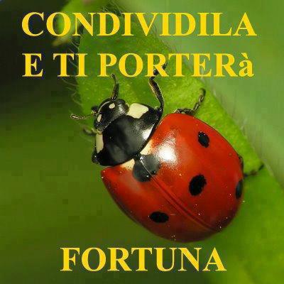 NUN SE SA MAI !! - 30/10/2012