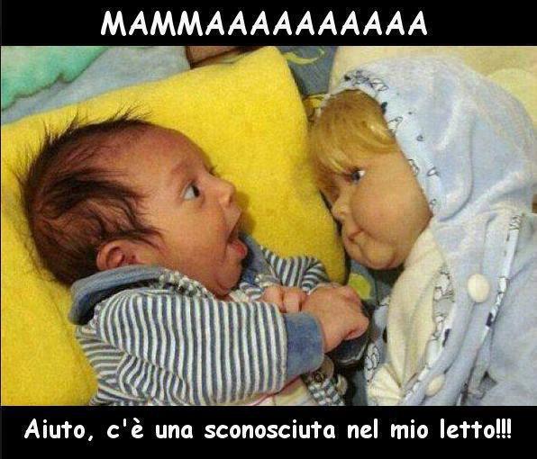 Immagine Divertente - 19/11/2012