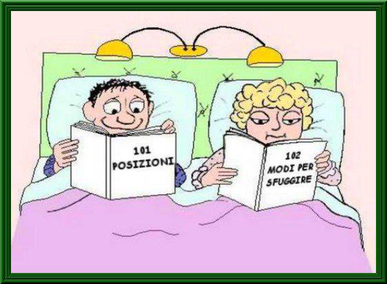Immagine Divertente - 21/11/2012