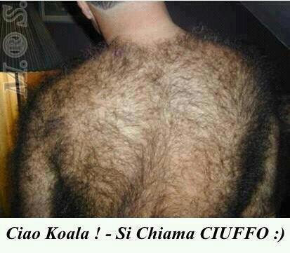 SE CHIAMA CIUFFO !! - 23/12/2012