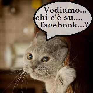 VEDEMO CHI CE STA ?! - 23/12/2012