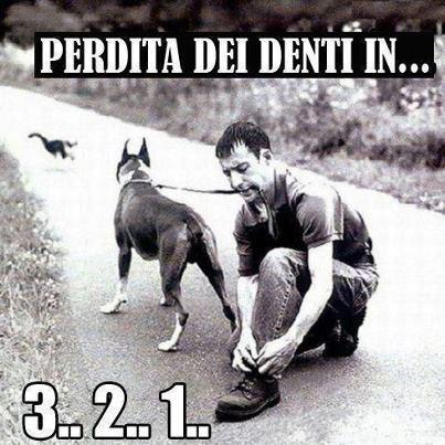 Immagine Divertente - 13/02/2013